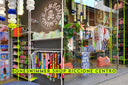 Temporary Shop Riccione Centro
