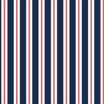 ANTIGUA REGIMENTAL -  L008AN