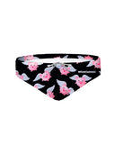 H2OTTO - 329H PORKY'S