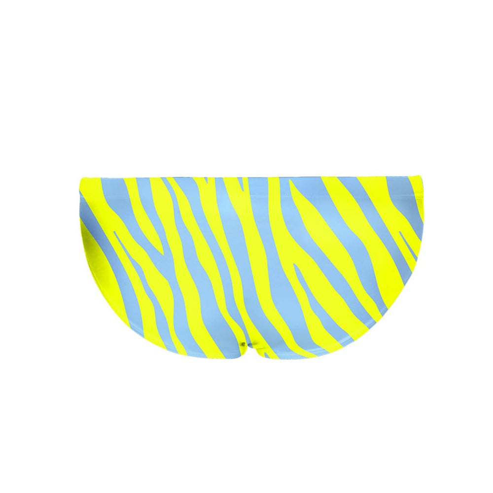 TEXAS ZEBRA AZZU - L009TX